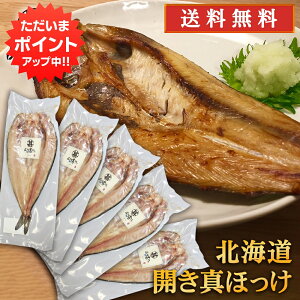 y18̓Ń|Cg20{IzJ^zbP i5Zbgj  Jق @ 蔲Q zbPJ  Ă kC H n yY  v[g Mtg 