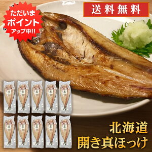 y18̓Ń|Cg20{IzJ^zbP i10Zbgj  Jق @ 蔲Q zbPJ  Ă kC H n yY  v[g Mtg 