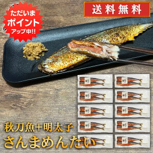 y}\ԒP5{Iz܂߂񂽂 2 i10Zbgj  kC HY H q sh  Ă kCO ߂񂽂 n yY  v[g Mt