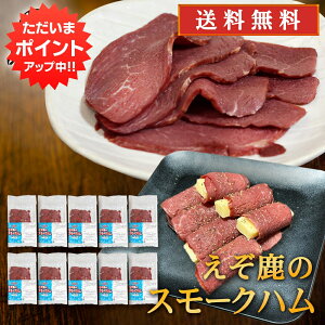 yBlackFridayԒP5{IzWrG ̃X[Nn 50gi10Zbgj  kCfY n ڈ΃VJ ܂ kCY n yY  v[g Mtg 