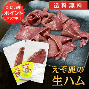 yBlackFridayԒP5{IzWrG ̐n 50gi2Zbgj  kCfY ڈ΃VJ n ܂ kCY n yY  v[g Mtg  