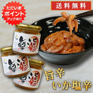 y}\ԒP5{IzV |hh 150g i3Zbgj  ܂ h CJ̉h  ܂ kC H JX v[g Mtg  Ԃ i 䒆 