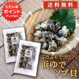 【マラソン期間中P10倍！】北海道 浜ゆでツブ貝 250g（2パックセット）送料無料 灯台つぶ 釧路産 ボイル つぶ貝 おつまみ 塩茹で ご当地 お土産 お取り寄せ プレゼント ギフト 贈答 御中元 お中元 御歳暮 お歳暮