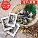 【イーグルス感謝祭の間はP10倍！】北海道 浜ゆでツブ貝 250g（3パックセット）送料無料 灯台つぶ 釧路産 ボイル つぶ貝 おつまみ 塩茹で ご当地 お土産 お取り寄せ プレゼント ギフト 贈答 御中元 お中元 御歳暮 お歳暮