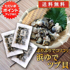 【5の付く日でP10倍！】北海道 浜ゆでツブ貝 250g（3パックセット）送料無料 灯台つぶ 釧路産 ボイル つぶ貝 おつまみ 塩茹で ご当地 お土産 お取り寄せ プレゼント ギフト 贈答 御中元 お中元 御歳暮 お歳暮