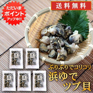 ySSԒ|Cg5{IzkC lŃcuL 250gi5pbNZbgj  HY {C ԊL ܂ 䥂 n yY  v[g Mtg  䒆 