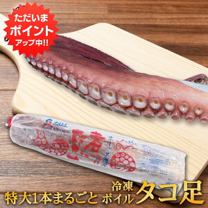 yC[OXӍՂ̊ԂP5{IzⓀ {C^R 1{ 800g kC Iz[cNCY  1{܂邲 ς {C v[g Mtg  䒆  Ε Ε