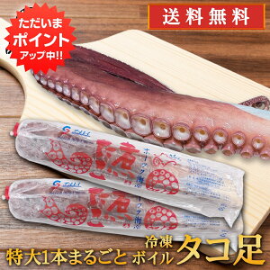 y18̓Ń|Cg5{IzⓀ {C^R 2{Zbg i1{800gj kC Iz[cNCY  1{܂邲 ς {C v[g Mtg  Ԃ i Ε Ε 