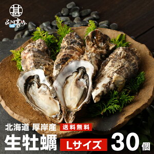 北海道産 牡蠣の人気商品 通販 価格比較 価格 Com