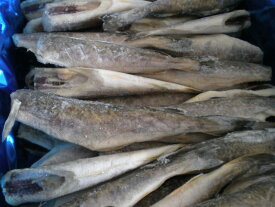 超特価　道東産直　業務用　限定　こまい（氷下魚）　5Kg（大）