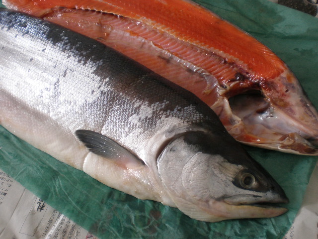 紅鮭 特別セーフ 薄塩 2Kg前後 釧路 【ふるさと割】 超特価 北海道
