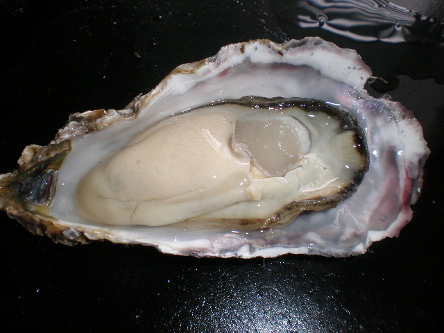 北海道厚岸産 殻付き生牡蠣 日本未発売 生食用 １着でも送料無料 １０５ｇ～１２９ｇ ２０個入り