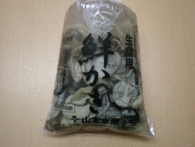 北海道　厚岸産　特大　むき身　生ガキ　500g　生食用