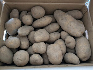 @\Y@Ⴊ@kCˁ@10Kgiʁj