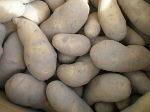 kC@L@͔|@Ⴊ@[NC@10Kg@\Y