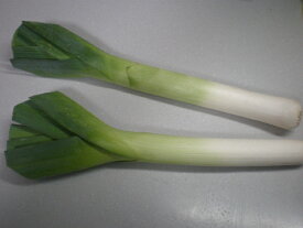 楽天市場 ねぎ 産地 都道府県 北海道 野菜 きのこ 食品 の通販