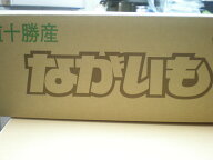 送料無料　訳あり　とかちのながいも　10Kg
