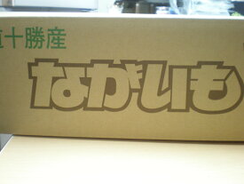 送料無料　訳あり　とかちのながいも　2Kg