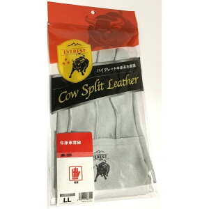 vy HK 328  v wD  v  ChY v _炩