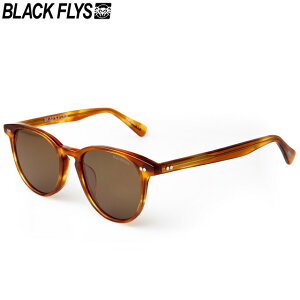 BLACK FLYS �u���b�N�t���C�Y FLY BROOKS AMBER HAVANA/BROWN