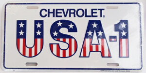 AJŔ STEEL LICENSE PLATE-201- USA-1 LICENSE PLATE io[v[g