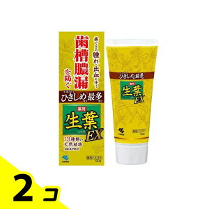 t(傤悤)EX 100g 2Zbg