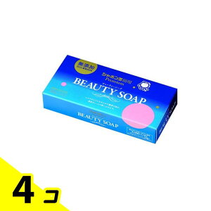 V{ ϐ΂ r[eB[\[v 100g (×3) 4Zbg