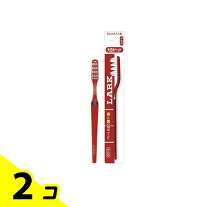 TX^[ LARK [NnuV M[wbh(傫߃wbh)  1{ 2Zbg