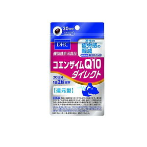 DHČNHi RGUCQ10 _CNg(Ҍ^) 20 40