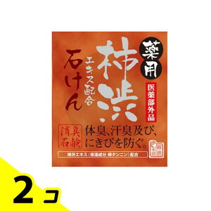 薬用マックス 柿渋エキス配合石けん 100g 2個セット