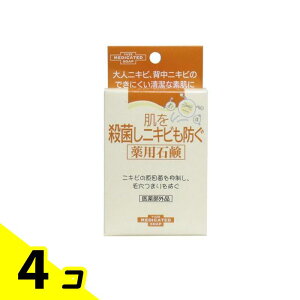 [ EۃjLrhpΌ 110g 4Zbg