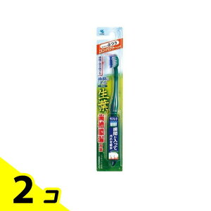 t(傤悤) ԂɓuV RpNgwbh 1{ (ӂ) 2Zbg