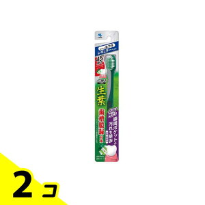 t(傤悤) 45°uV M[wbh ӂ 1{ (ӂ) 2Zbg