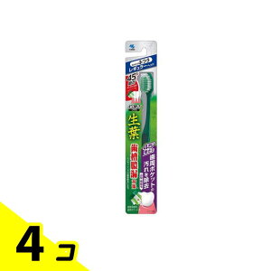 t(傤悤) 45°uV M[wbh ӂ 1{ (ӂ) 4Zbg