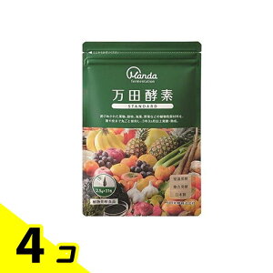 cyf STANDARD(X^_[h) y[Xg()^Cv 2.5g× 31 4Zbg