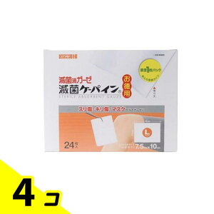 ŋۍσK[[ ŋۃP[pC LTCY 24 (p) 4Zbg