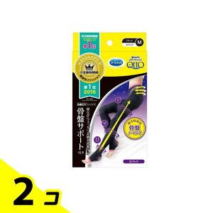 fBLbg {fBVFCv QȂXpbc ՃT|[gt 1 (M) 2Zbg