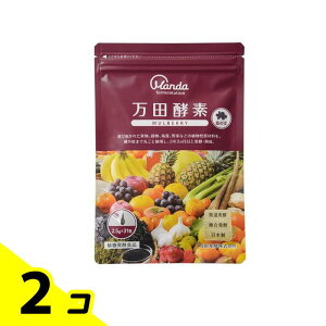 cyf MULBERRY(}x[) y[Xg()^Cv 2.5g× 31 2Zbg