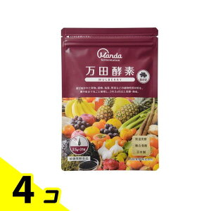 cyf MULBERRY(}x[) y[Xg()^Cv 2.5g× 31 4Zbg