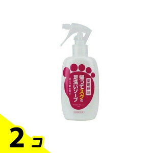 マックス 薬用柿渋・帰ってスグの足洗いソープ 250mL 2個セット