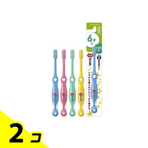 Do hD[NA ǂnuV wp 6`12 1{ (Fws) 2Zbg