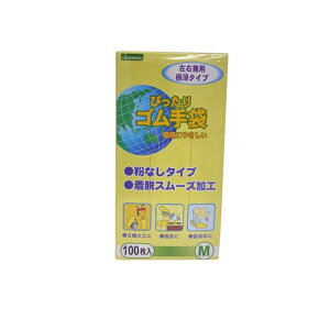 IJg No.310 ҂S Ȃ^Cv 100 (MTCY)