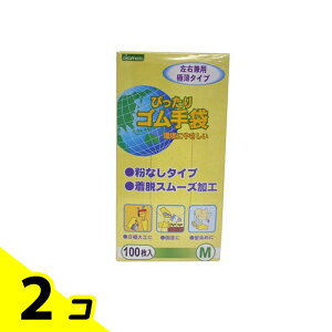 IJg No.310 ҂S Ȃ^Cv 100 (MTCY) 2Zbg