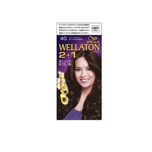 EGg[ 2+1(c[vX) N[^Cv 4G _[NEH[uE [A60g+B60g+GbZX7.3mL] 1