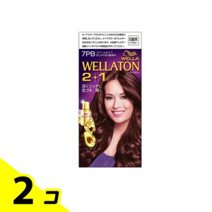 EGg[ 2+1(c[vX) N[^Cv 7PB 邢sNuE [A60g+B60g+GbZX7.3mL] 1 2Zbg