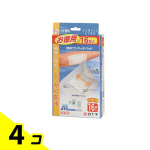 \ FCh^b`pbh MTCY p 16 4Zbg