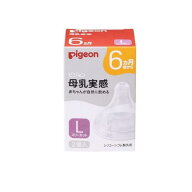 ピジョン 母乳実感 乳首 6ヵ月頃から Lサイズ(Y字形) 2個入
