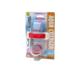 �O�W���� �A�N�A�`���[�W���[300 1��