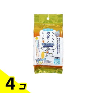 X[p[Lbg Lp 炭炭PAV[gv~A 30 4Zbg