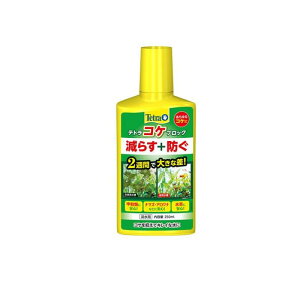 Tetra(�e�g��) �R�P�u���b�N 250mL